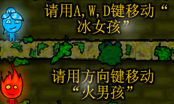 森林冰火人中文版兑换码领取 8个礼包兑换码